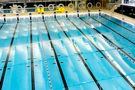 Babyschwimmen, Schwimmschule Stefanski, Auster, Bad zur Sonne, Hallenbad Pachern, Hallenbad Gratkorn, Tauchturm Seiersberg, Hallenbad Kalsdorf, Stefanski, Anfängerschwimmen, Schwimmschule, Gratwein, Stift Rein, Graz Nord, Graz Süd, Freibad St. Radegund, S