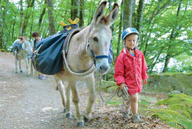 family hiking with a donkey