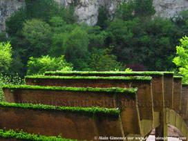 Roue,aube,mousse,moulin,falaise,forêt