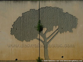 Marseille,quartiers,nords,arbre,béton,herbes folles,murs