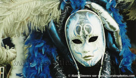 Masque,venise,bleu,Carnaval,cignes,plumes