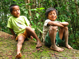 Enfants,Equateur,forêt,amazonie,arbre