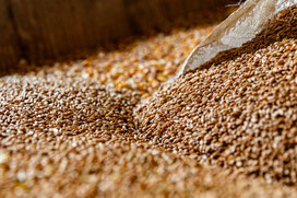 elke kunkel fotografie würzburg handwerk