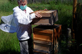Bienenhaltung in Zanderbeuten