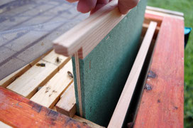 Weichfaserplatten am Anfang und Ende Bienentraube