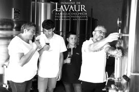 Domaine de Lavaur AOC Cahors malbec vigneron producteur - dégustation - séjour - vente en ligne et à la propriété