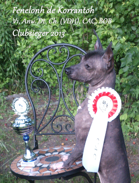 Dt. Champion Fenelonh de Korrantoh