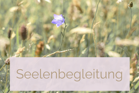 Lebensberatung – Antworten und innere Klarheit finden