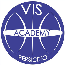 vis academy