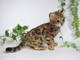 ベンガル猫　needlefelteng