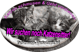 Nebenjob gesucht? Katzensitter werden in Hamburg! Tierbetreuung vorOrt, Katzenbetreuung