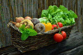 aide et conseils pour faire son potager soi même