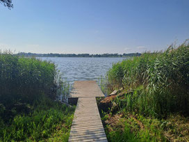 Wooden duckboards leading through reeds to a lake in Latgale