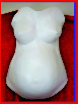 Torso
