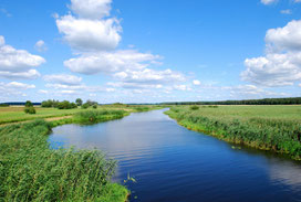 Landaschaft in Brandenburg