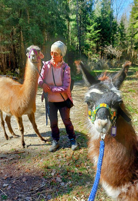 gemeinsam unterwegs mit deinem Lama