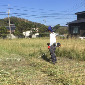 草刈り作業の様子