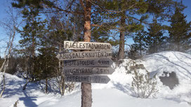 Ein Knotenpunkt auf der Espetveit-Skiloipe