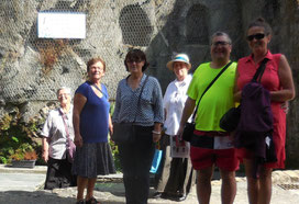 Les derniers visiteurs de l'été.