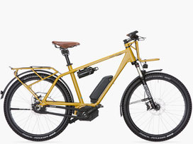 Charger GX: das Reise e-Bike