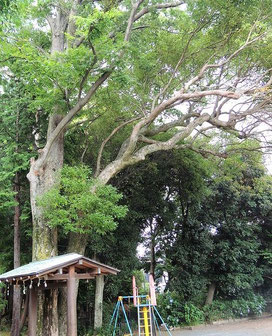 　　　　　　近くの神社　遊具と鎮守の森