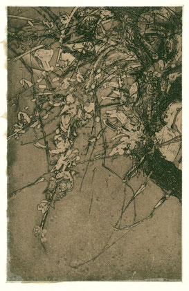 「春流」 （Spring flow） 楮紙に銅版画 ／雁皮刷り （手漉き古紙）/285×180mm /ed.50/¥49,500 （税込み）