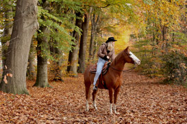 Paardenfotografie - sierfotografie - hondenfotografie - Renkum - Moweena - fotograaf - natuur