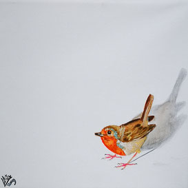 2. Robin...In the corner 20x20cm ntk