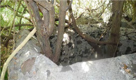 Shirazi Tomb.