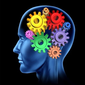 Brain with gears Executive Functioning
