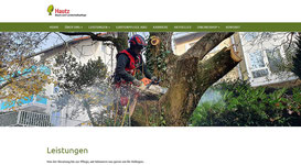 Hautz-Baum-Gartenpflege-O141