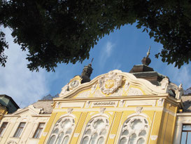 regensburg frauenroman