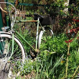 Rad im Garten