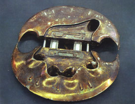 Smart-Disc