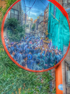 <三社祭> knd19_020 ©️渡邊政彦さん