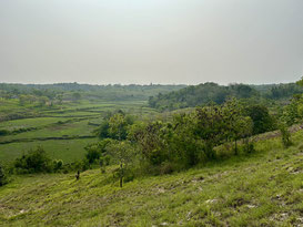 South Sumba property for sale