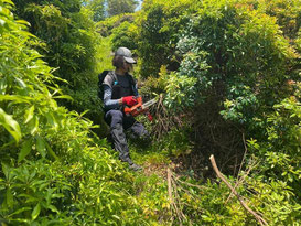 歩きやすい登山道