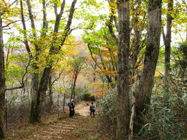 歩きやすい登山道