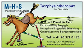 M-H-S ganzheitliche Tier-Physiotheapie