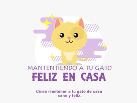 gato-interior-feliz-sano-infografia