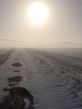 Carlie genießt den Winter