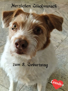 Geburtstagsgrüße von Leandro