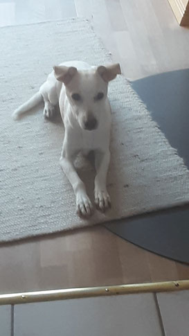 Geburtstagsgrüße von Schwester Easy