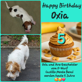 Geburtstagsgrüße von Oxia