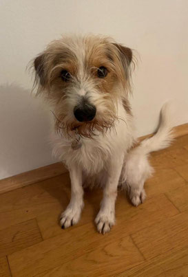 Geburtstagsgrüße von Osandro
