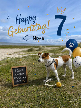 Geburtstagsgrüße von Nova