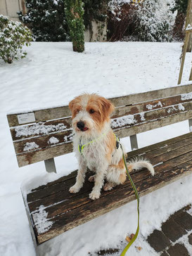 Kortez wünscht frohe Weihnachten