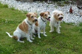 Ebony mit Tochter Isabela und Herzensschwester Elba