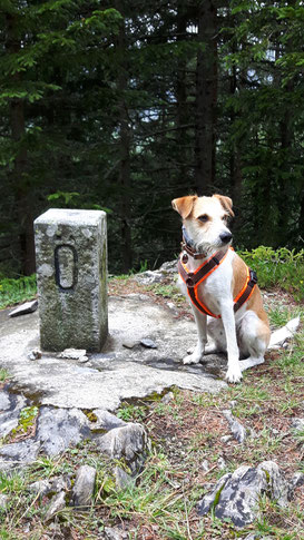 Adonis sendet Urlaubsgrüße im August 2017