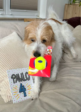 Geburtstagsgrüße von Paulo